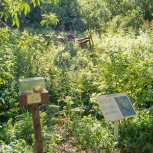 Big Bugs, Assasin Bug and interpretive exhibit