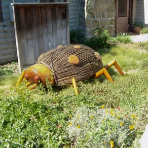 Big Bugs, Ladybug by the Cottage