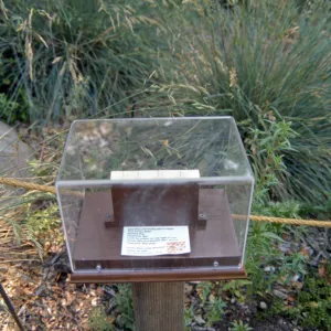 Big Bugs, bee pollinators exhibit