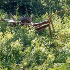 Big Bugs, Assassin bug