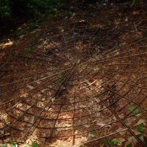 Big Bugs, Spider Installation