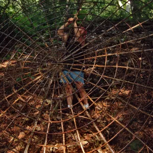 Big Bugs Spider Installation