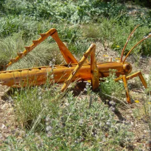 Big Bugs Grasshopper installation