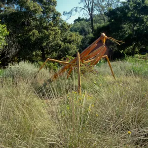 Big Bugs Praying Mantis installation