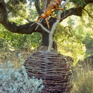 Big Bugs Honey Bee installation