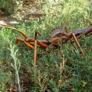 Big Bugs Assassin Bug installation