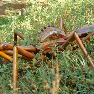Big Bugs Assassin Bug installation