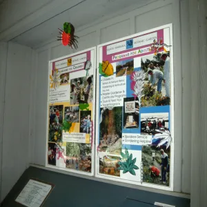 Big Bugs sign