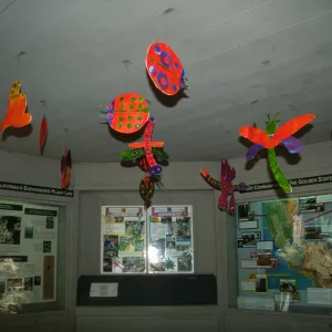 Big Bugs in Information Kiosk