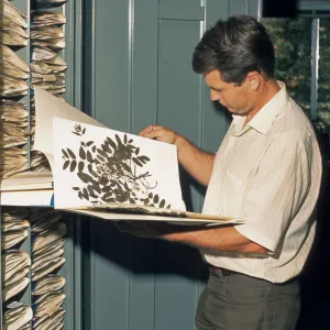 Ralph Philbrick with pressed plant specimen, Herbarium