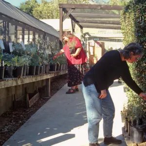 Garden Growers Fall Plant Sale