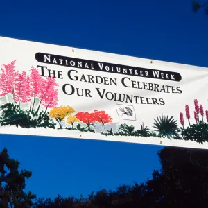 Volunteer Luncheon 1994