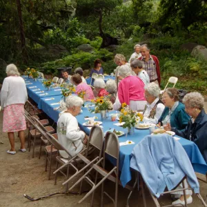 Volunteer Luncheon 1994