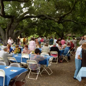 Volunteer Luncheon 1994