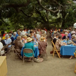 Volunteer Luncheon 1995