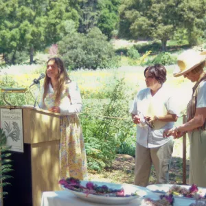 Volunteer Luncheon 2000