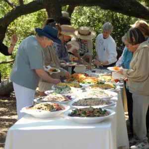 Volunteer Luncheon 2000