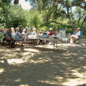 Docent Graduation Luncheon