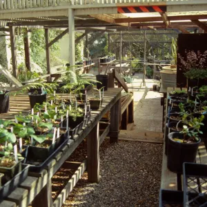Garden Growers Nursery