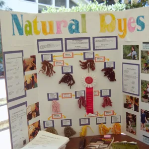 Nature Camp 1999