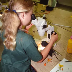 Nature Camp 1999
