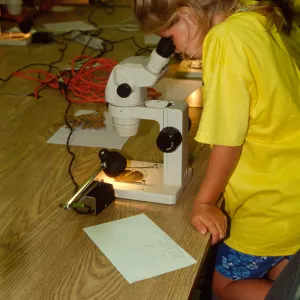 Nature Camp 2000