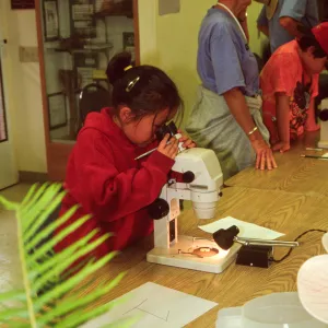 Nature Camp 2000