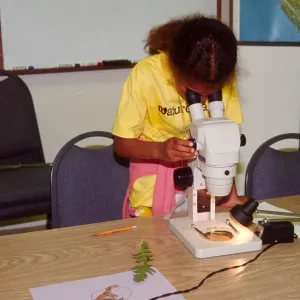 Nature Camp 2000