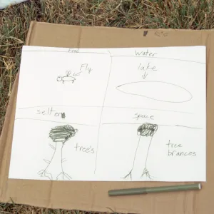 Nature Camp 2000