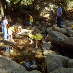 Nature Camp 2000