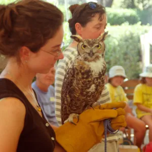 Nature Camp 2000 - Staff Member with Owl