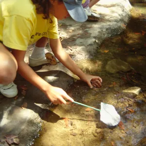 Nature Camp 2000