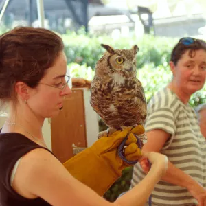 Nature Camp 2000