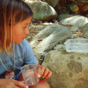 Nature Camp 2001