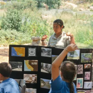 Nature Camp 2003