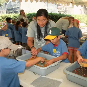 Nature Camp 2003