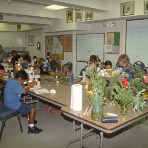 Nature Camp 2003