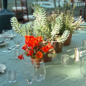 Redwood Dinner 1999