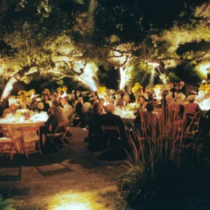 Night Music 1999