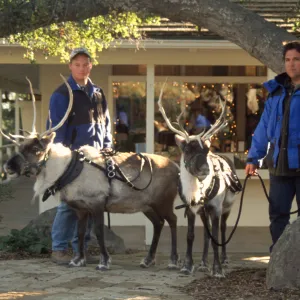 Winterfest 1998