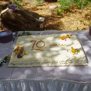 70th Birthday Cake