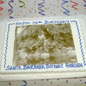 75th Anniversary Cake