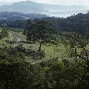 Rincon view from near Knapp Place