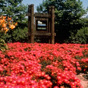 The colorful entrance to the Fullerton Arboretutn, is a 'green oasis' in the midst of a rapidly growing urban area.