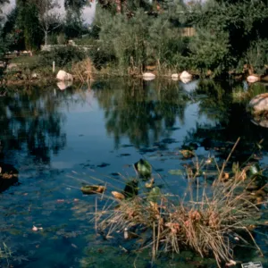 Upper pool near Home Demonstration Garden