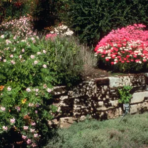 The Garden of Fragrance was especially designed for the visually challenged visitor. containing raised beds that offer a wide variety of fragrant plants for people to touch and experience with all their senses.