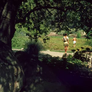 SBBG, view of Meadow from Information Kiosk