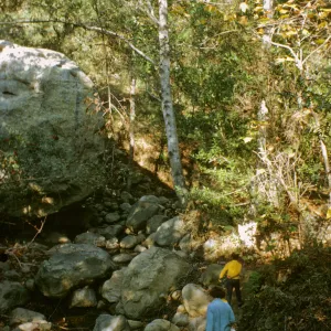 SBBG, visitors walking on the Mission Creek Trail in Mission Canyon