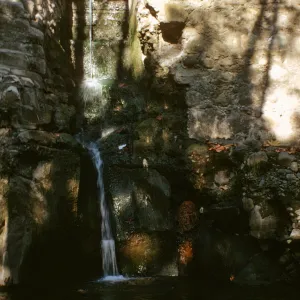 Mission Dam waterfall, Mission Creek, fallen sycamore leaves