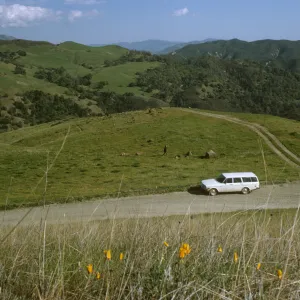 De la Guerra Springs, road